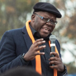 THE DANGEROUS PUSH TO STEAL ZIMBABWE’S FUTURE